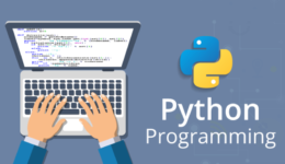 python1